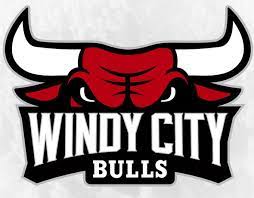 WINDY CITY BULLS Team Logo